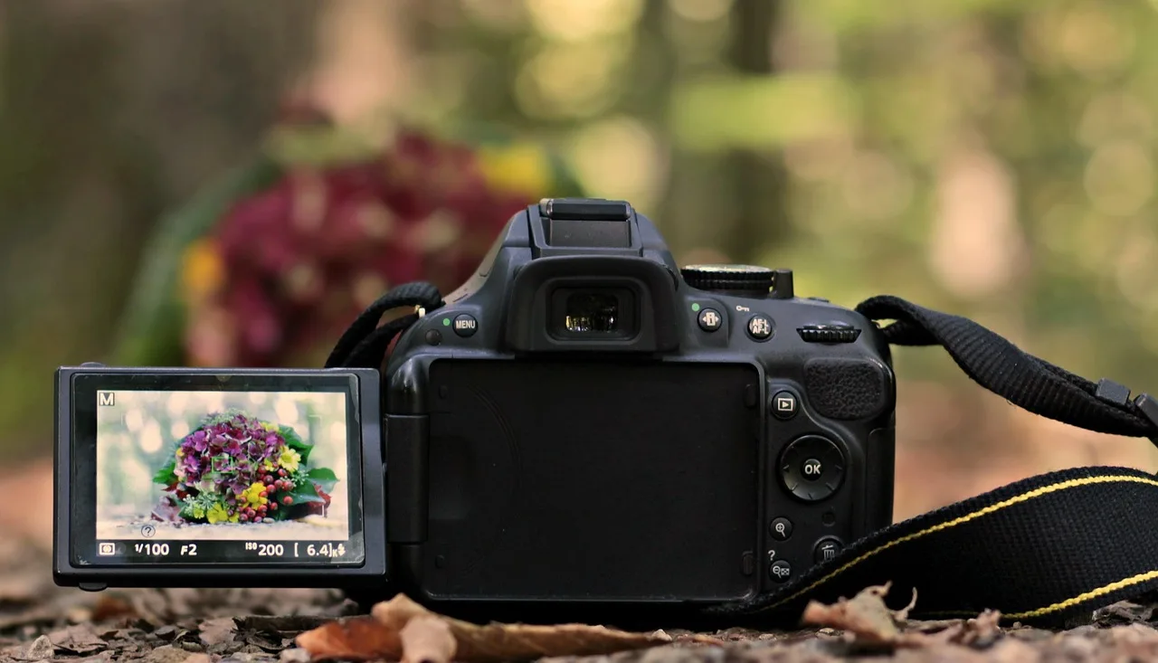 Canon, Nikon of Sony: welke camera kies jij in 2025?