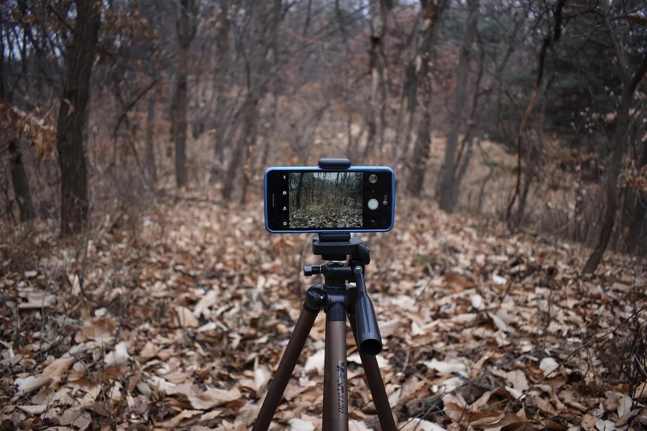 Mobiele videografie apparatuur: beste rigs en lenzen 2025